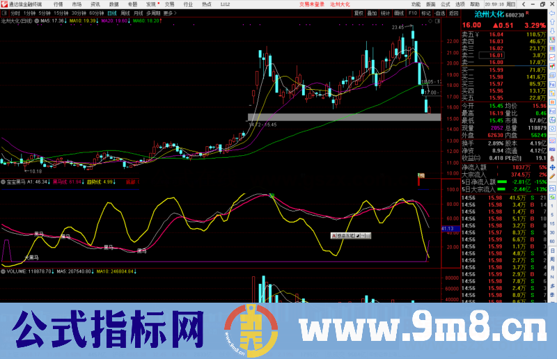 通达信宝宝黑马指标公式源码副图