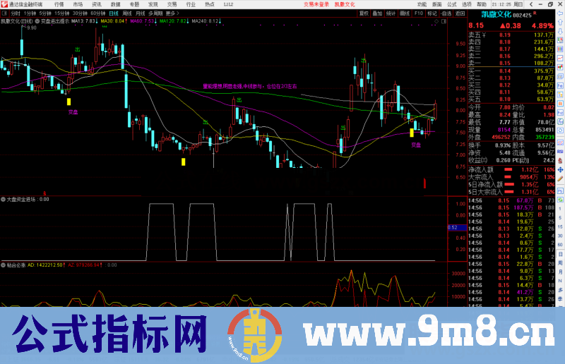 通达信大盘资金进场副图指标公式源码