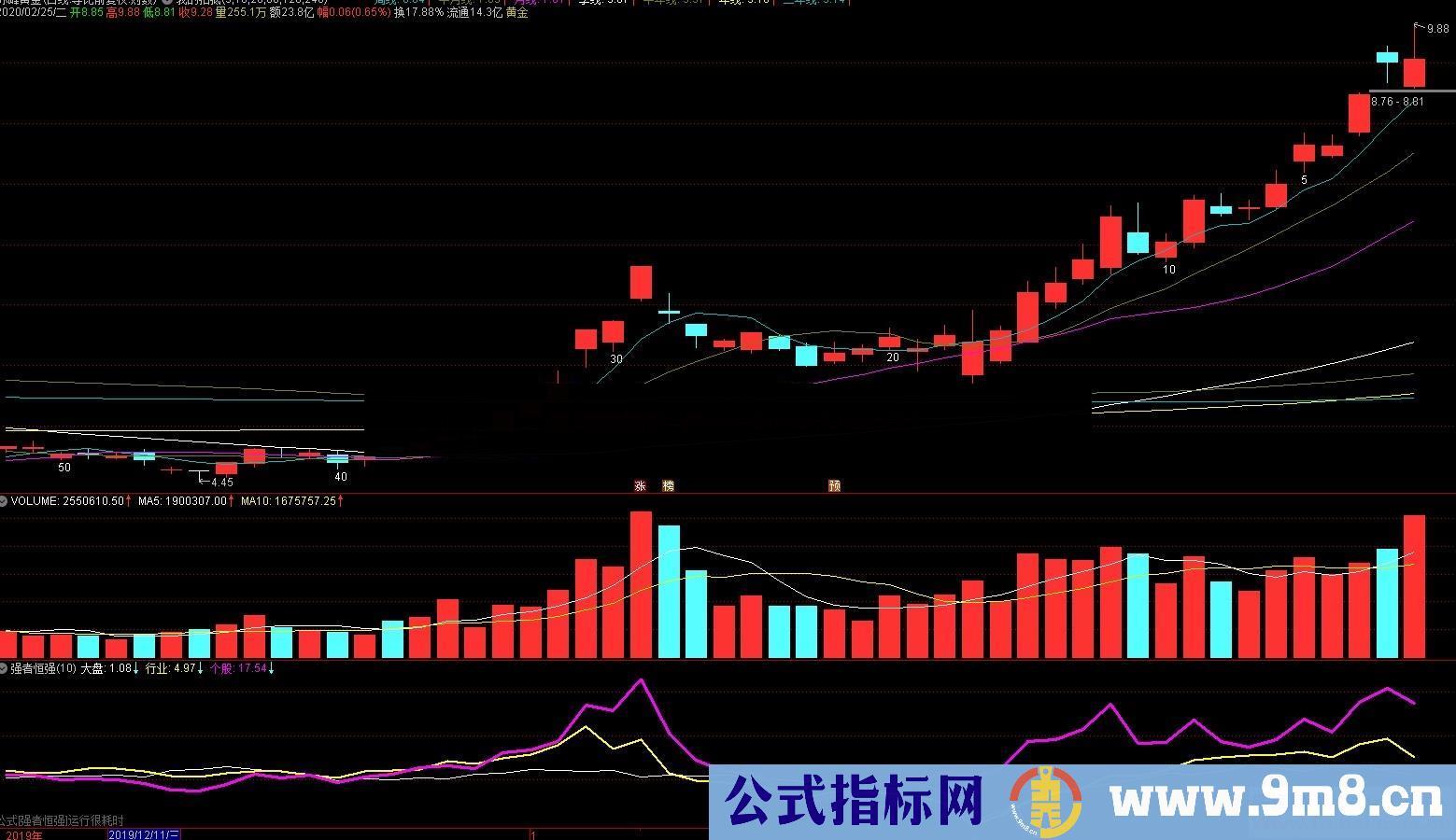 强者恒强（指标 副图 通达信 贴图）完全加密