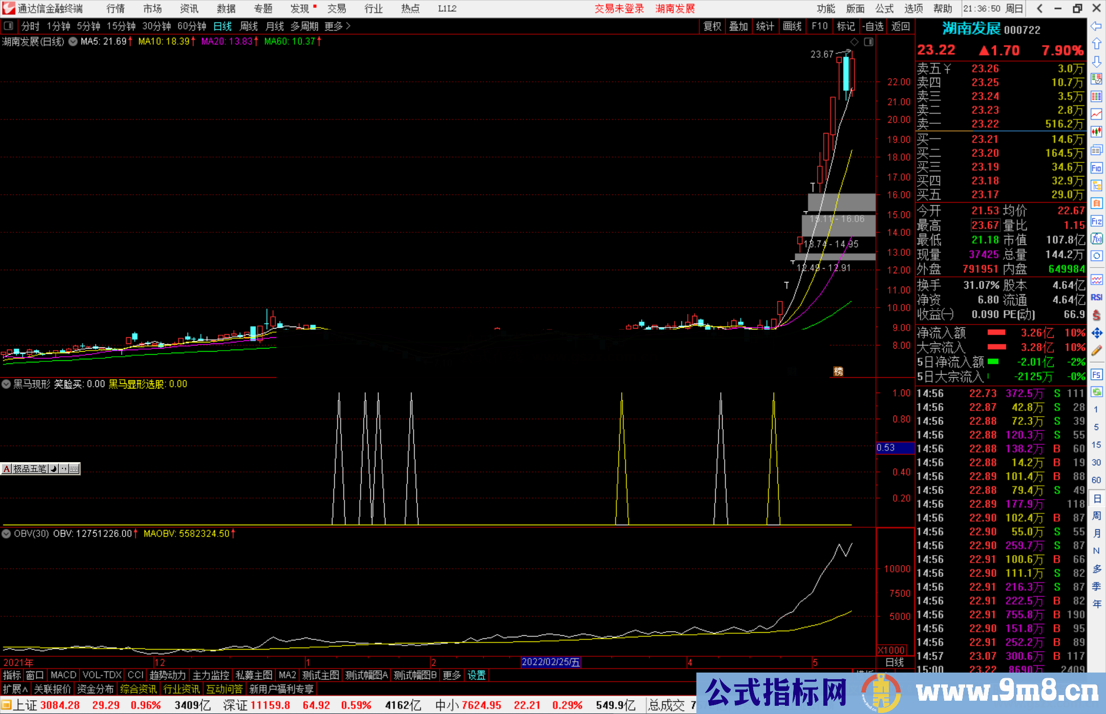 通达信黑马现形指标公式源码副图