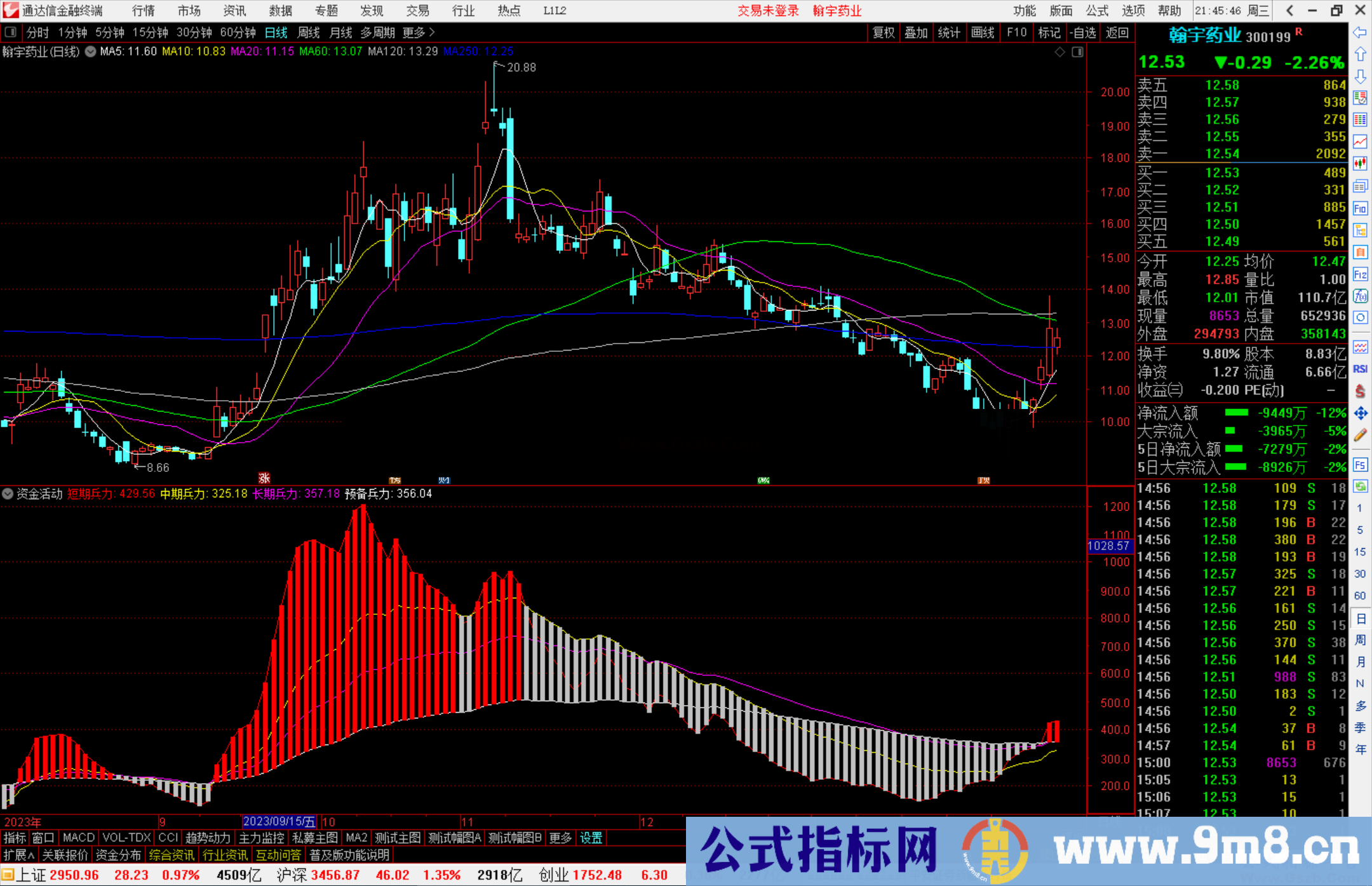 通达信资金活动指标公式源码副图