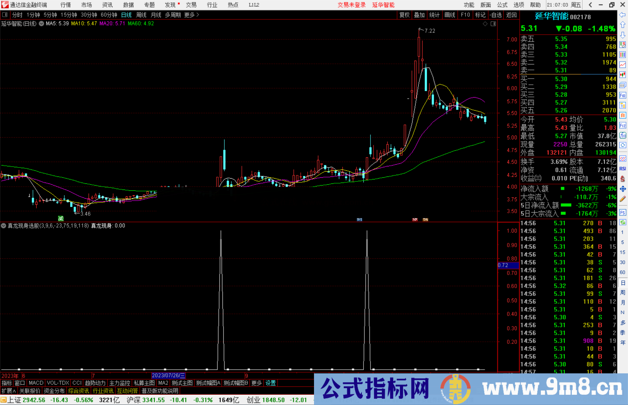 通达信真龙现身选股指标公式源码副图