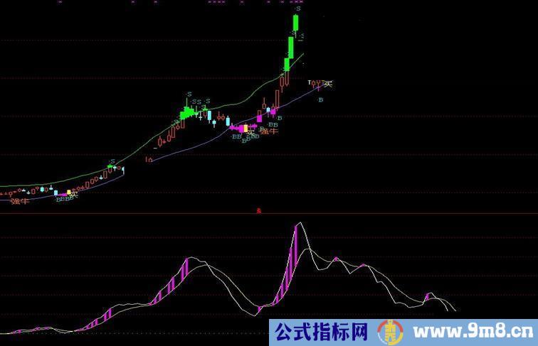 通达信用最简单的方式抓快马副图源码 ，无未来