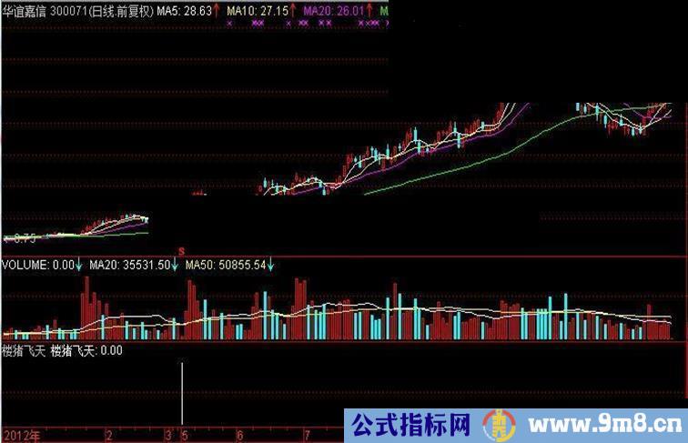 通达信楼猪飞天公式，将你的资金年年翻倍