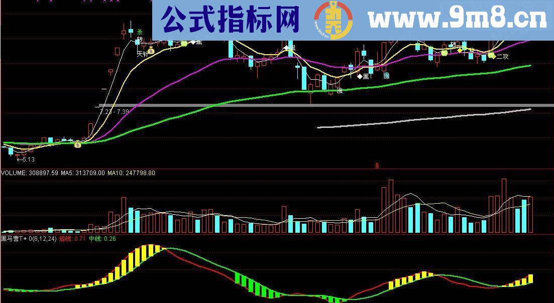 通达信黑马营T+0副图公式源码