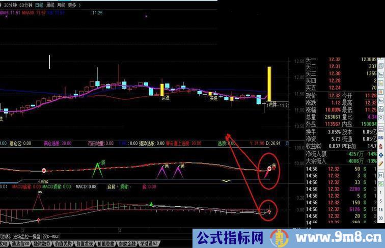 通达信MACD指标（指标 副图贴图）