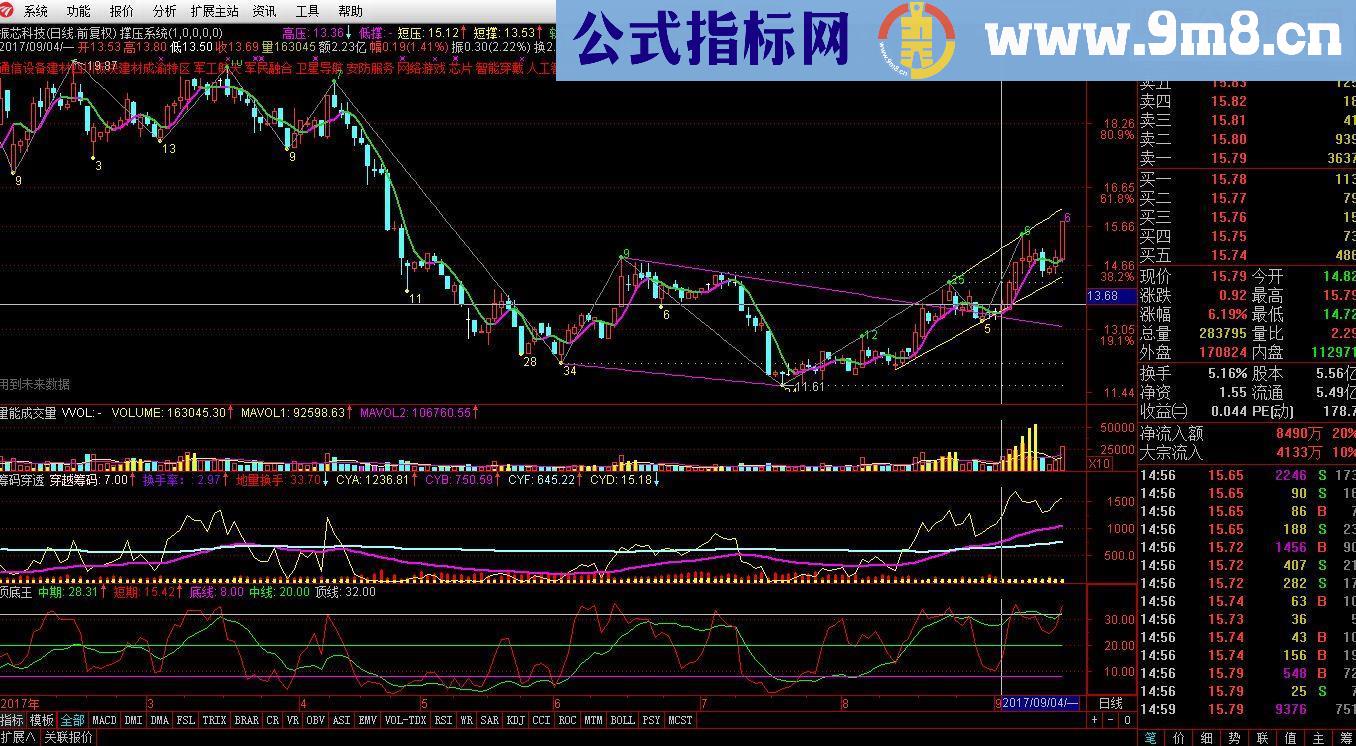 通达信筹码穿透+顶底王副图贴图