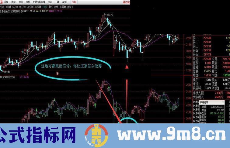 通达信金蝴蝶精准波段底（指标副图 贴图）无未来不漂移