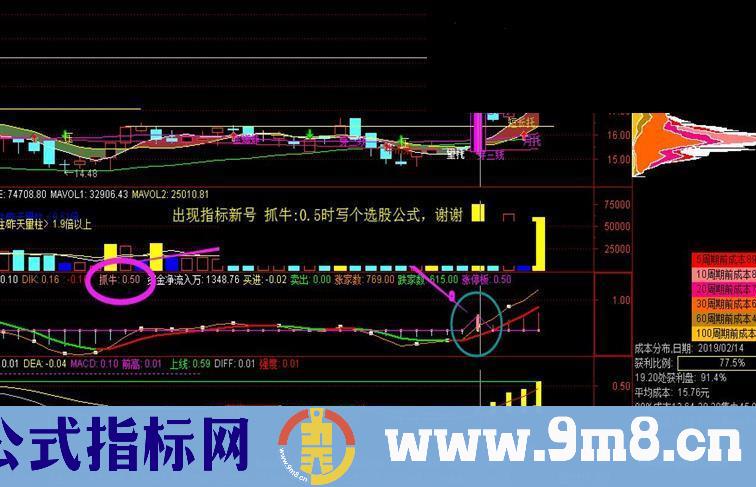 通达信抓牛股源码贴图