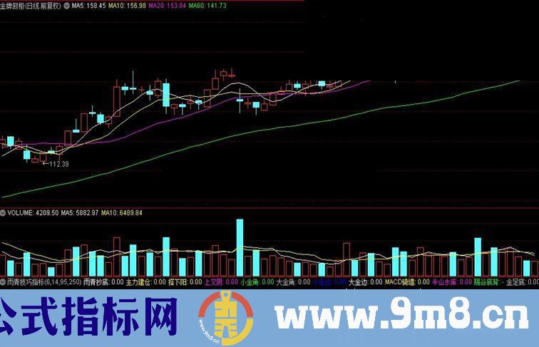 通达信雨青技巧公式源码贴图