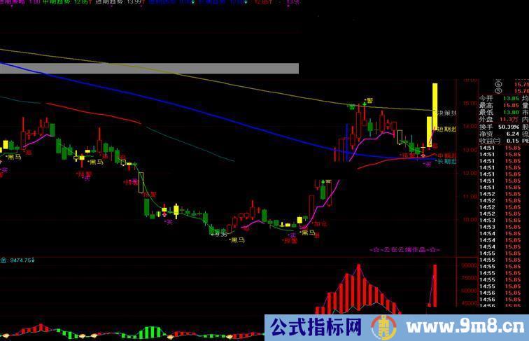 通达信监控资金进出副图，源码