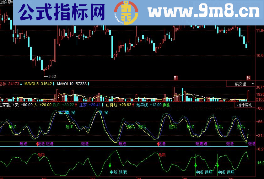 同花顺庄家散户副图源码