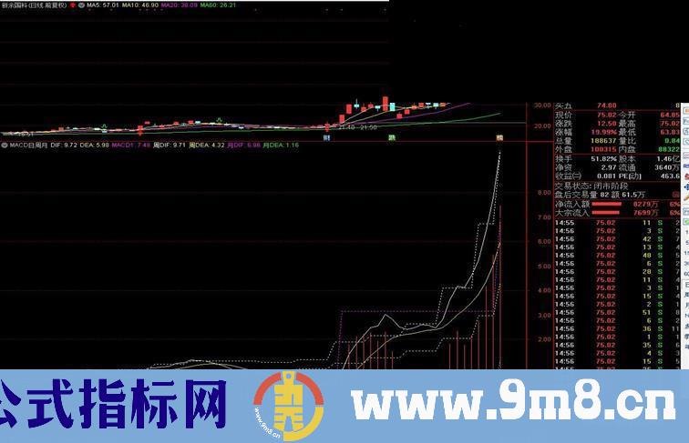 通达信MACD日周月线副图指标无加密