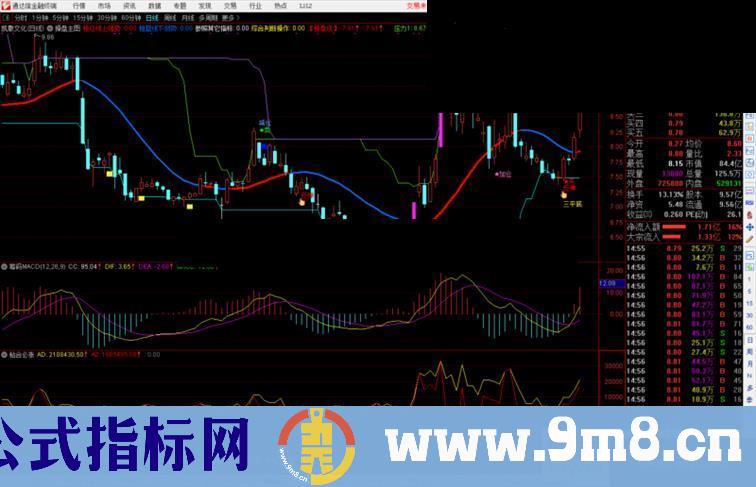 通达信筹码MACD副图指标公式不加密 无未来