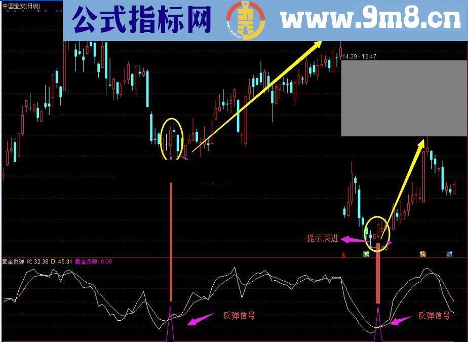 黄金反弹指标，最强反弹利润（附图无密码）