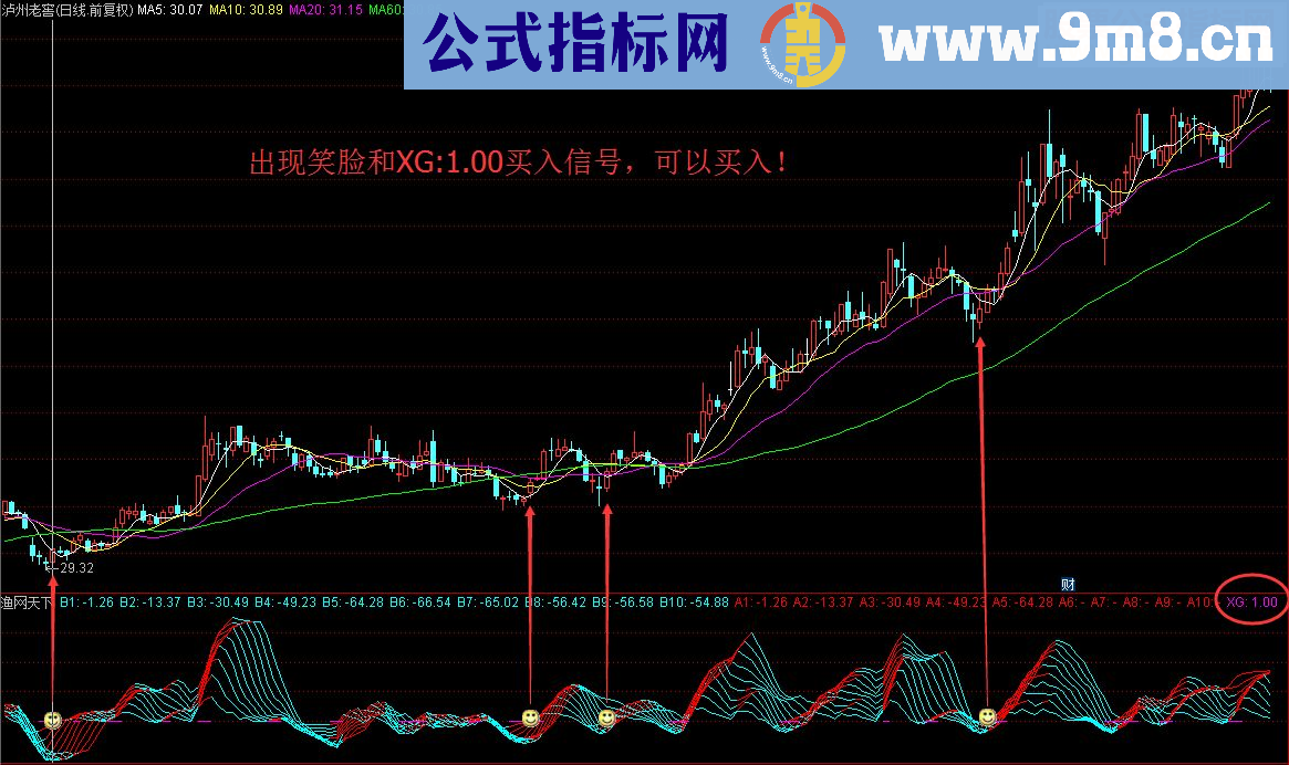 渔网天下（指标 副图/选股 通达信 源码 贴图 未加密 无未来函数）