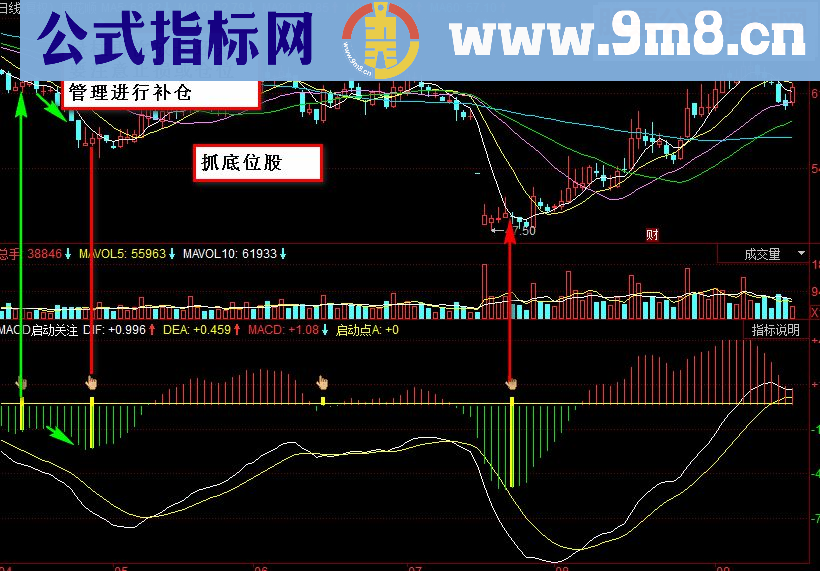 同花顺MACD启动关注副图源码