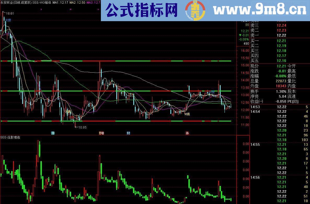 通达信庄影现形（源码 指标副图 贴图）