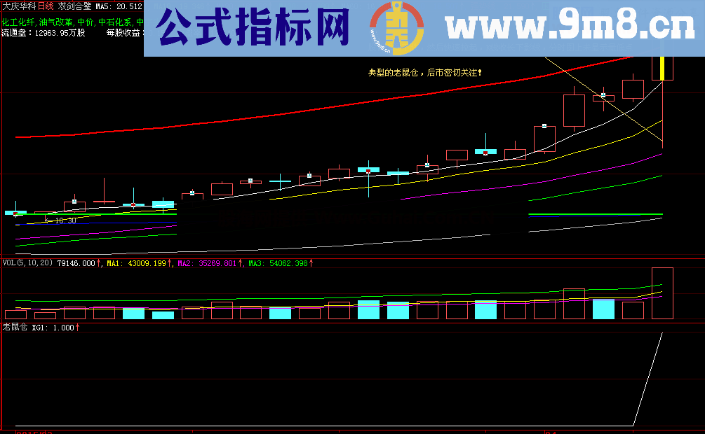 快速发现老鼠仓 跟着吃肉喝汤 老鼠仓指标 大智慧通用源码