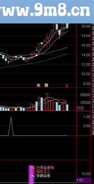 绝对底部+监控庄家1号源码副图通达信