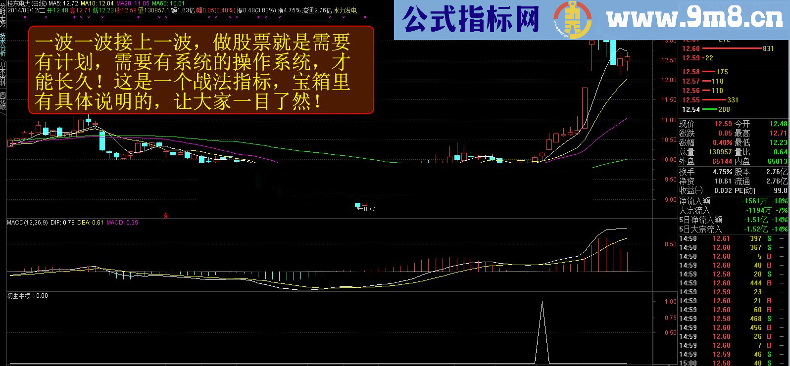 通达信【金钻精品指标】稳健跑步上升之初生牛犊