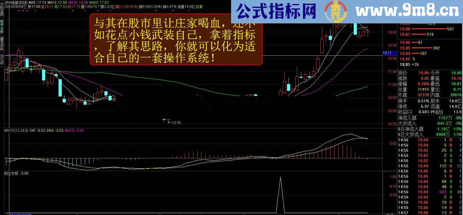 通达信【金钻精品指标】稳健跑步上升之初生牛犊