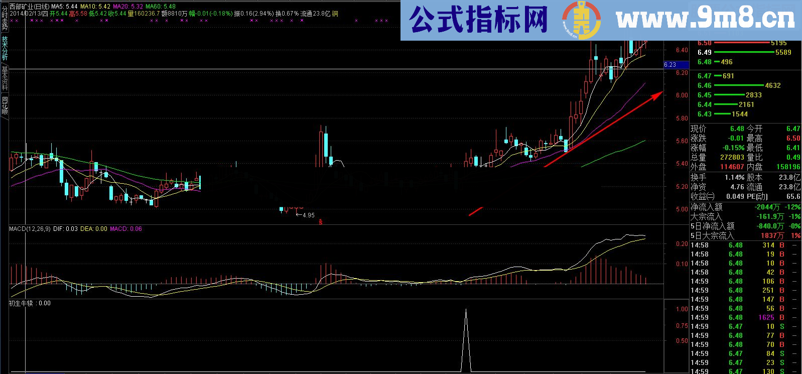 通达信【金钻精品指标】稳健跑步上升之初生牛犊