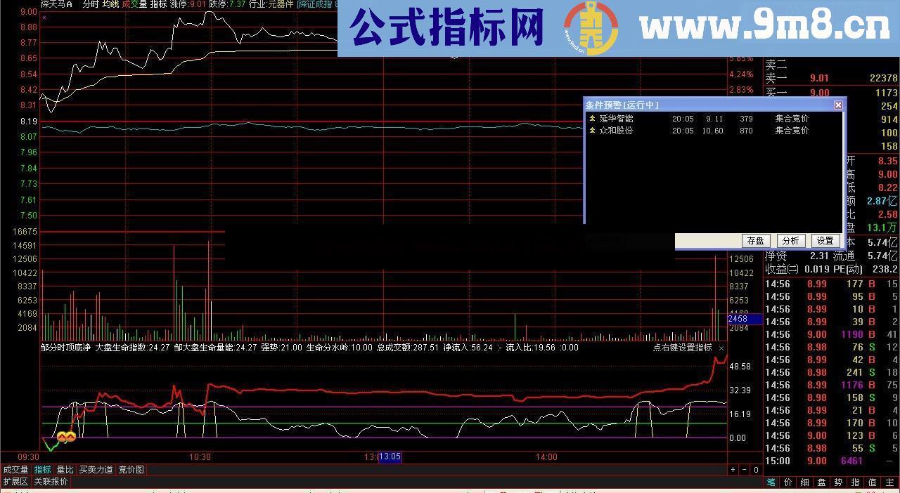 通达信分时顶底+资金进出组合源码，附图简单说明