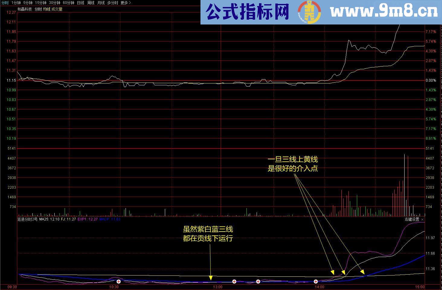 通达信廷进分时2号（源码副图贴图）