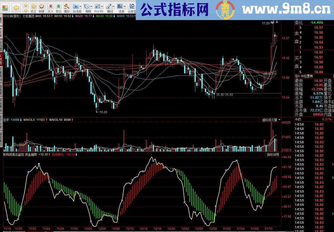 机构资金进出监控（源码副图贴图）