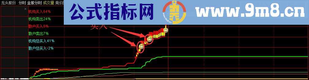 通达信金股分时 机构控盘一看就知道 主图/分时指标 贴图 无未来