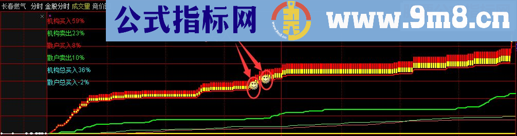 通达信金股分时 机构控盘一看就知道 主图/分时指标 贴图 无未来