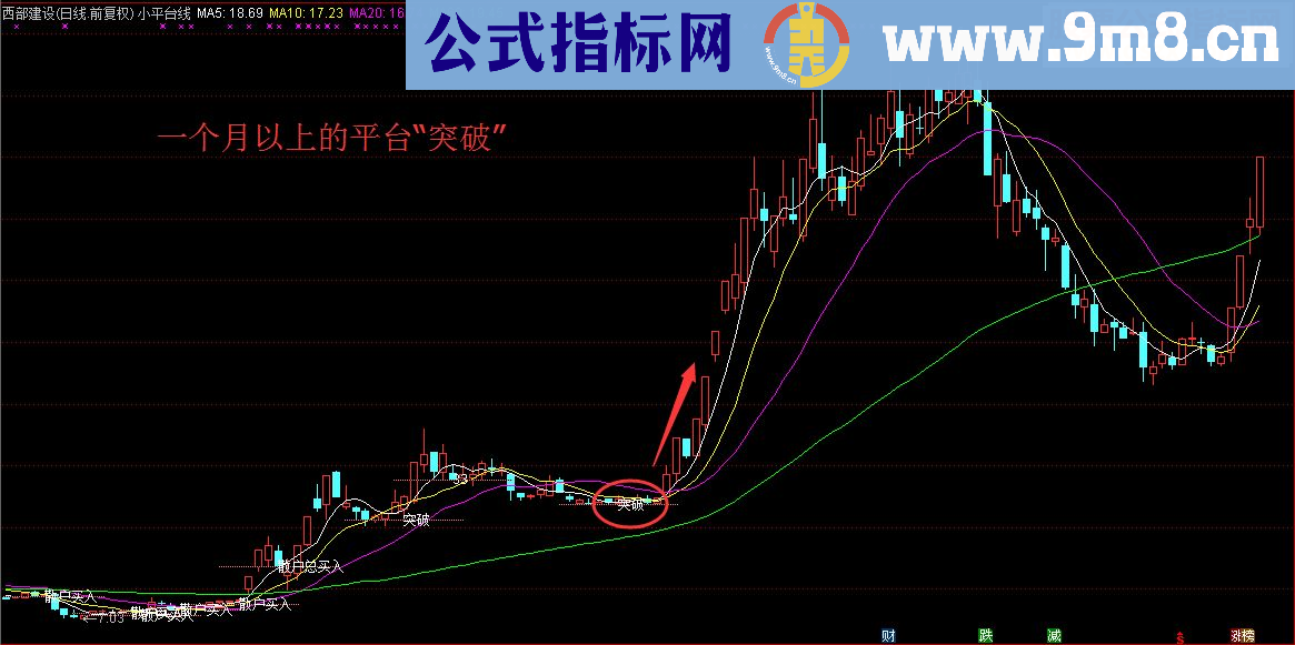 小平台线，显示机构交易数据（指标 通达信 主图 源码 贴图 说明）没有未来函数