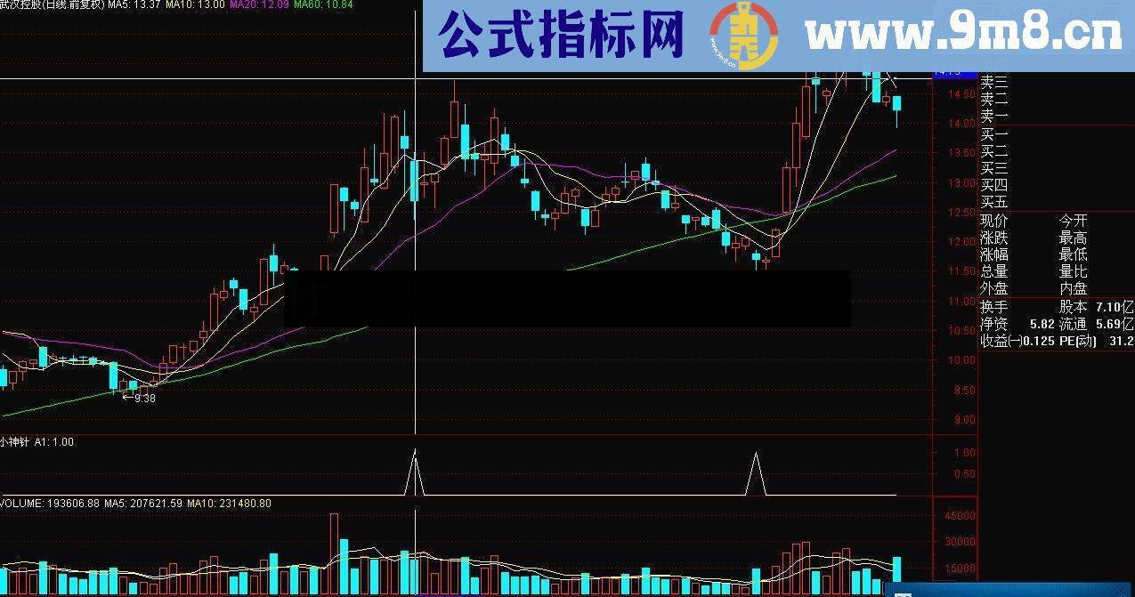 小神针 无未来 最适合新手指标