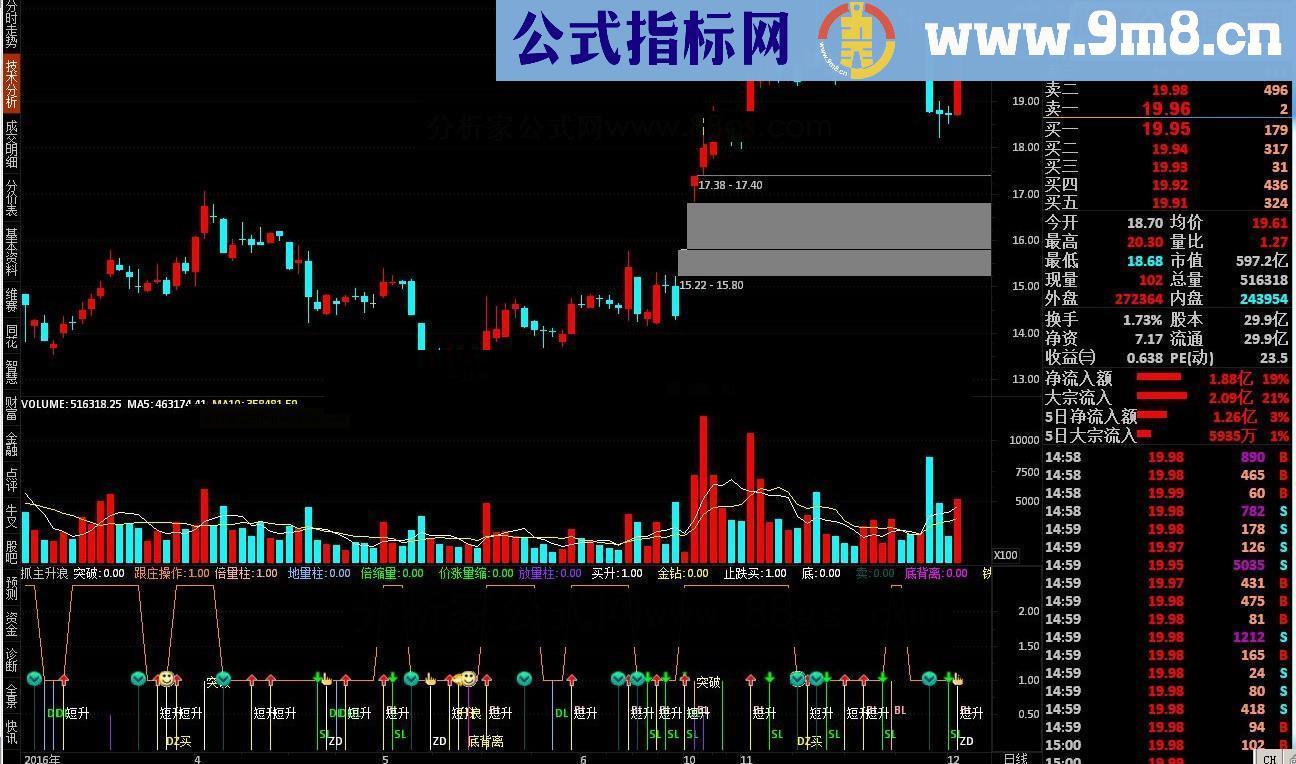 通达信抓主升浪 波段金指