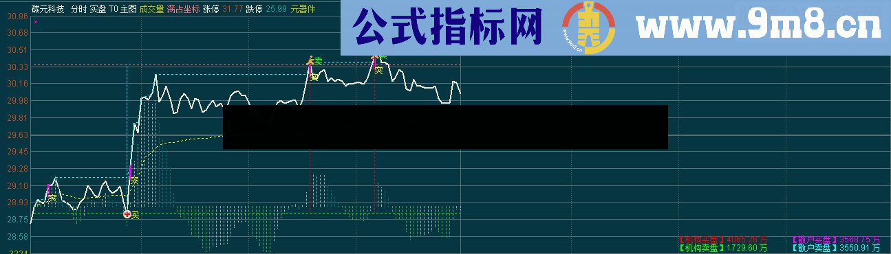 通达信实盘 T+0 主图（指标 分时主图 贴图）补充说明