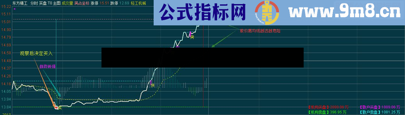 通达信实盘 T+0 主图（指标 分时主图 贴图）补充说明