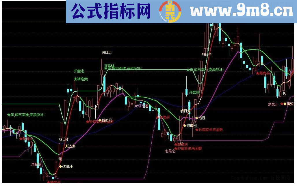 通达信抄底老鼠仓源码主图