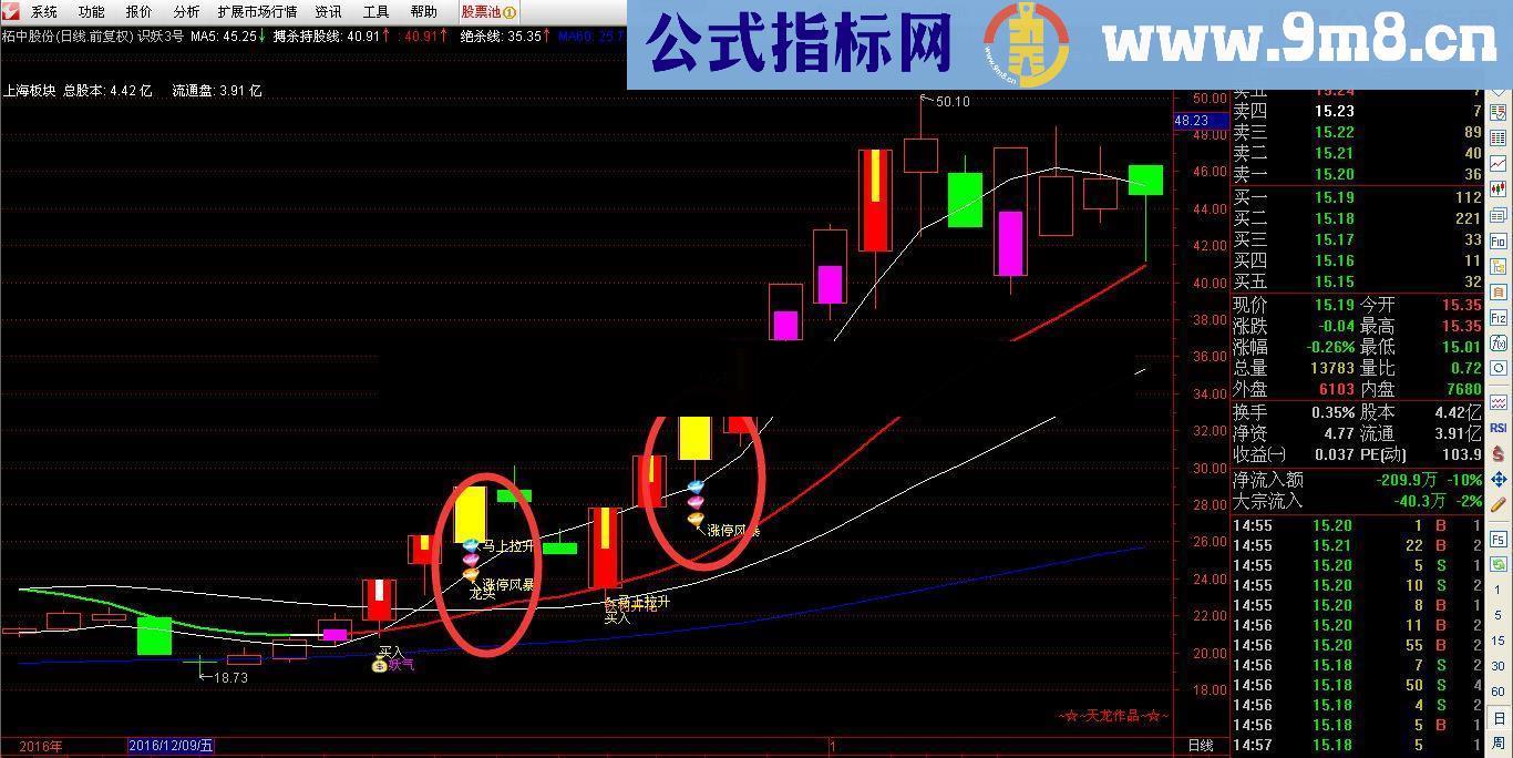 通达信涨停风暴源码副图