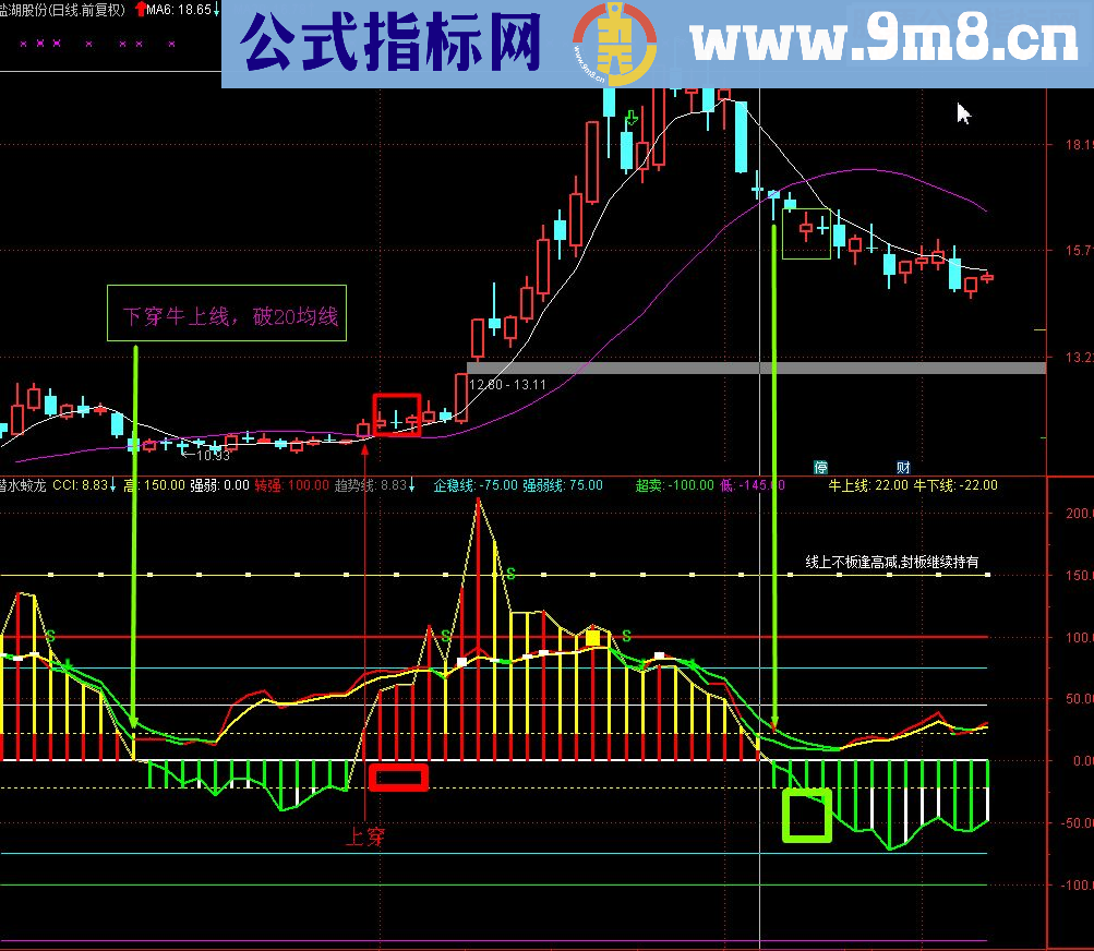 通达信潜水蛟龙（副图指标 密码保护 无未来函数 加用法注析）