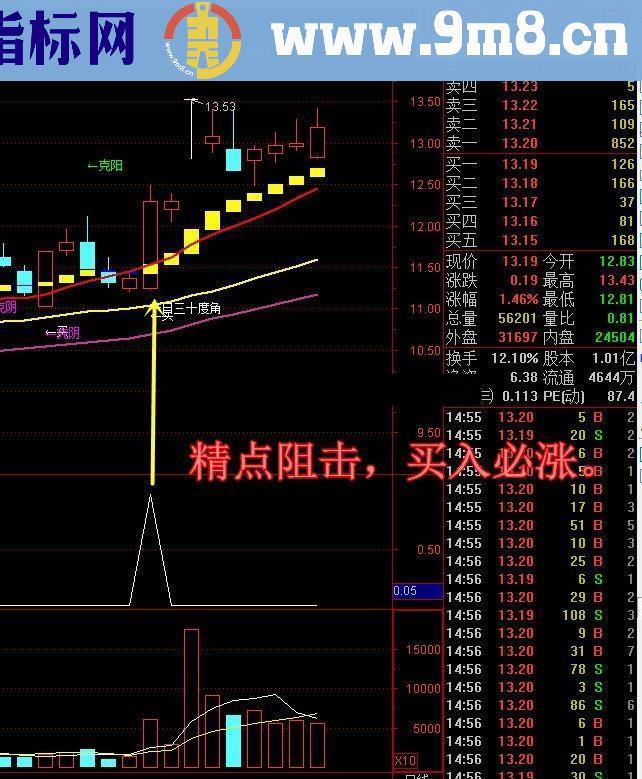 通达信买入必涨《骑黑马稳健版》【金钻精品指标】