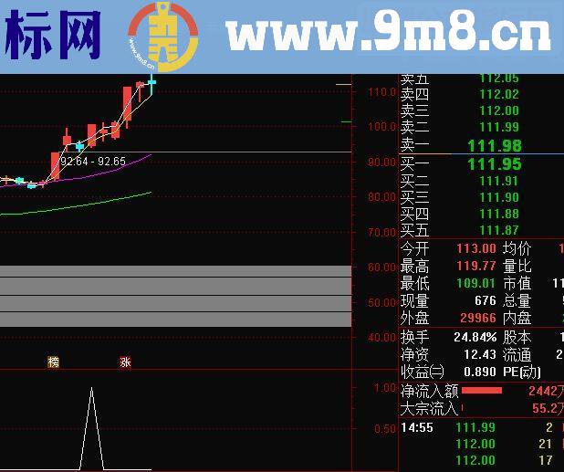 通达信庄家抬轿咱吃肉源码副图/选股