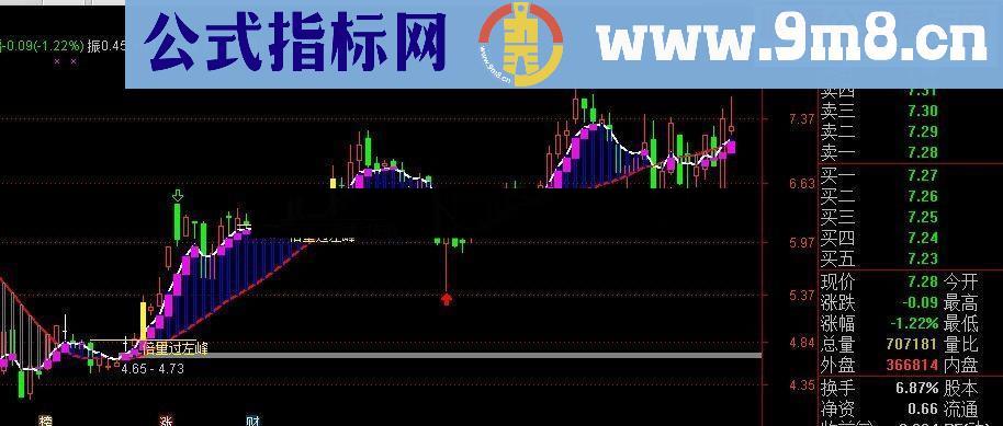 通达信组实用倍量过左峰主图源码