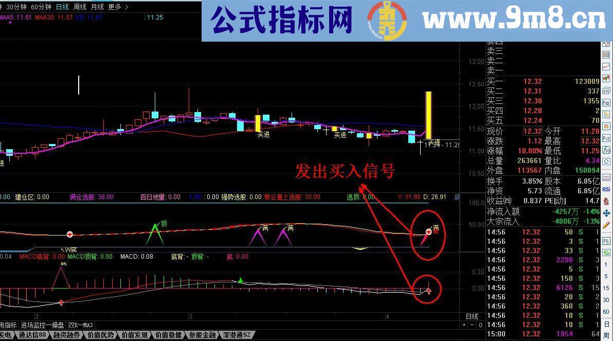 通达信MACD指标（指标 副图贴图）