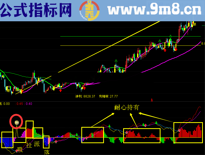 高级MACD：精准抄底、大胆持有 无未来