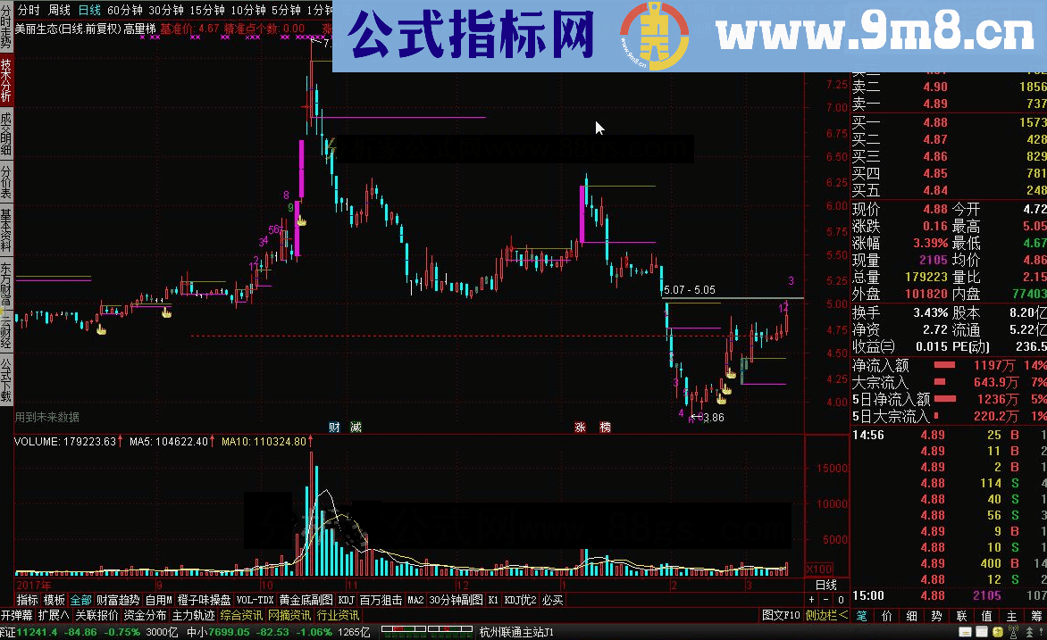 通达信高量梯 量学看盘系统主图二