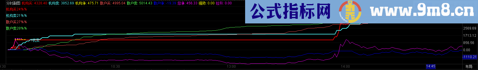 经过加工的分时资金幅图公式