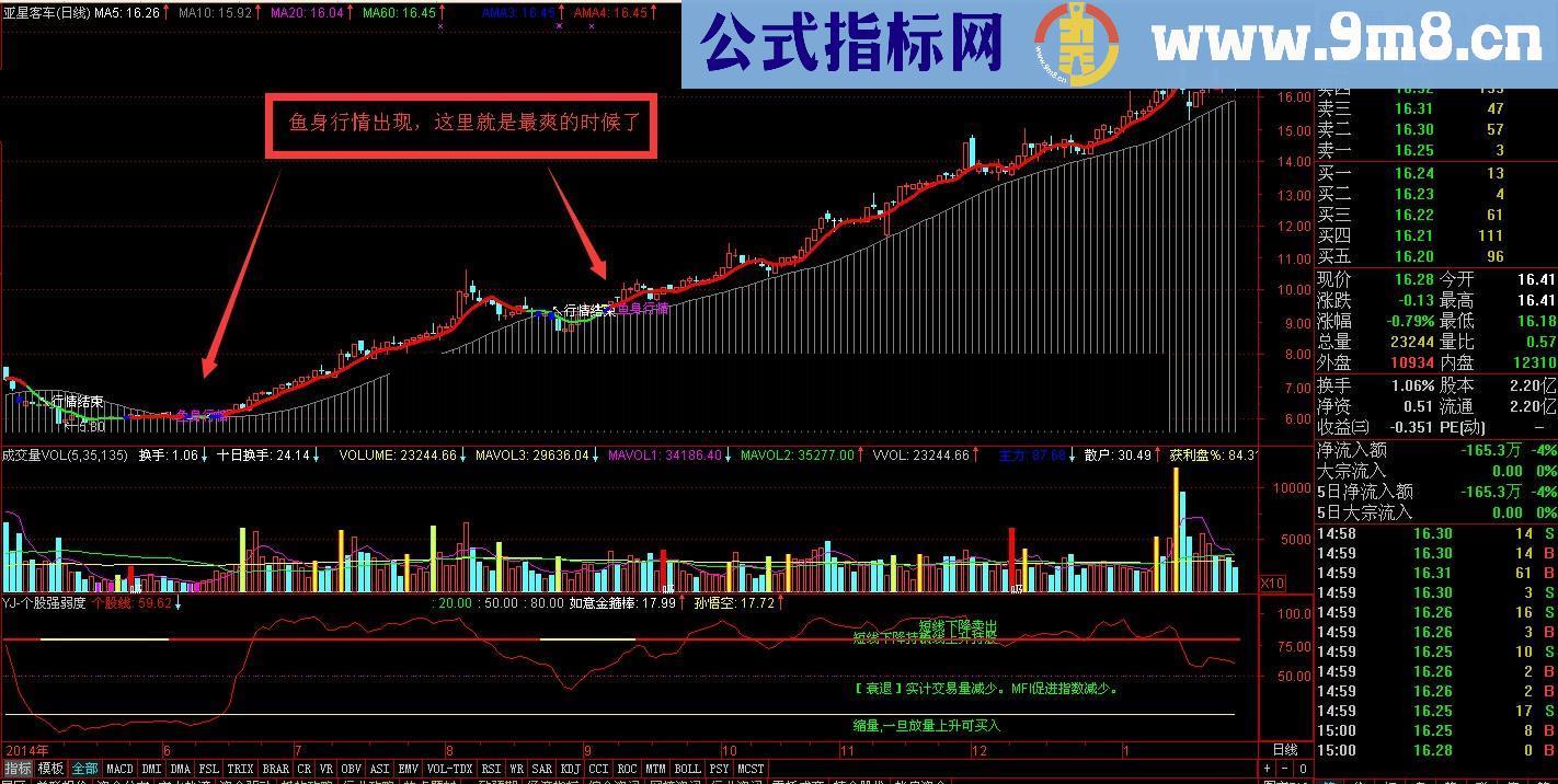 鱼身行情 高胜算公式 说明 源码