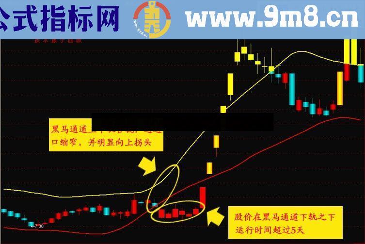 通达信正宗红码技术之黑马通道主图