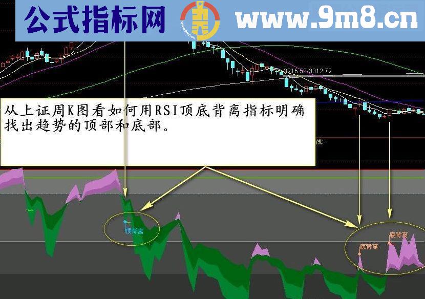 通达信RSI划线副图指标源码